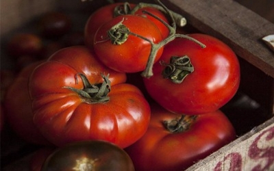 Predicted environmental changes could significantly reduce global production of vegetables