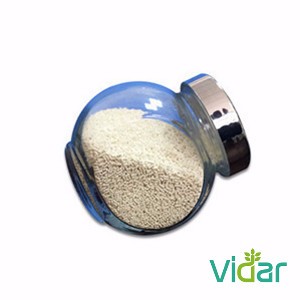 Mancozeb + Metalaxyl + Chlorothalonil