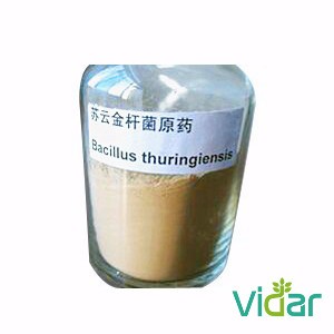 Bacillus Thuringiensis