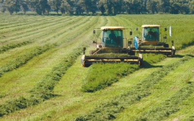 The global slow & controlled release pesticides market to to grow at a CAGR of 7.3% from 2017 to 2025