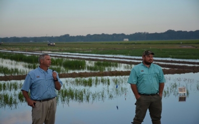 Dow's rice herbicide Loyant receives US registration