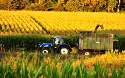 Weaker currency stimulates corn sales in Brazil