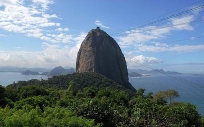 Bayer registers bixafen technical in Brazil