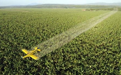 17 countries sign statement regarding pesticide use