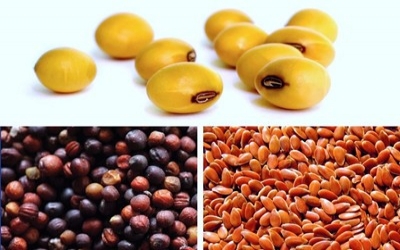Canada: New oilseed and soybean varieties for 2018