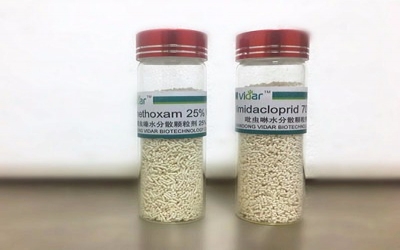 Study suggests neonicotinoid ban in Canada not necessary