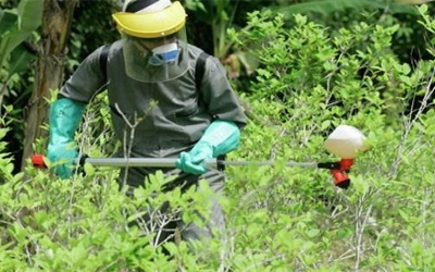 Colombia to use drones to fumigate coca leaf with herbicide