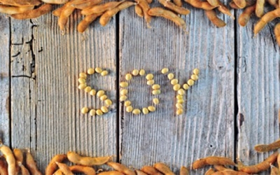 Brazil soybean production challenged by glyphosate ban