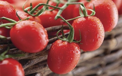 Hybrid grape tomato developed by Embrapa Vegetables is a record-breaker in lycopene content