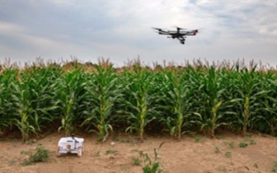 Plant breeder taps latest technology to feed the world