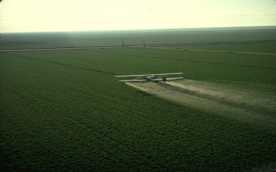 China’s scientists develop a recyclable pesticide