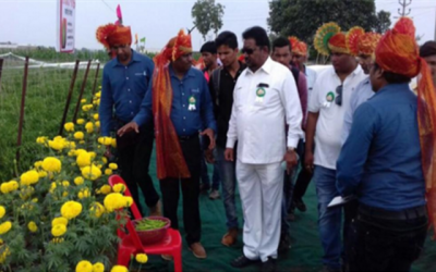 Monsanto demonstrates high yielding corn and vegetable hybrid seeds in Nashik, India
