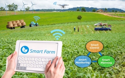 Smart Farm Policy in Korea