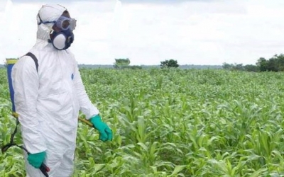 Biopesticide lead the registration in Sep, China