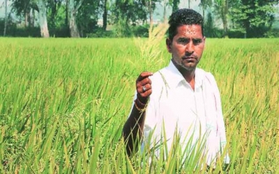 ADAMA and Ceradis sign crop protection R&D agreement to develop highly effective, sustainable products