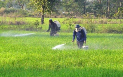 India Maharashtra government wants proper norms for insecticide supply