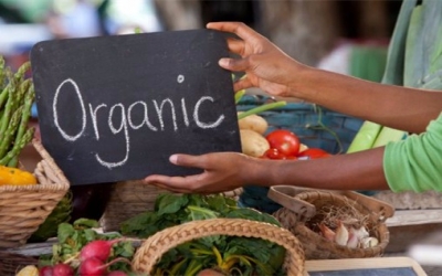 India Andhra Pradesh state plans big to promote organic farming