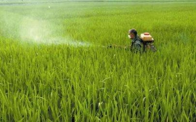 Chinese glyphosate national standard to come into effect soon