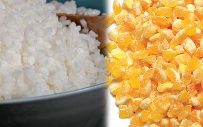 PhilMaize to start selling rice-corn blend in 2018