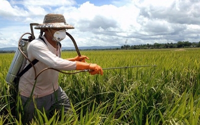 China's agrochemical price surge will last till next May