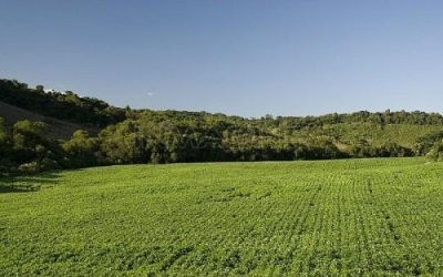 Brazil and China discusses agriculture investments in Mato Grosso