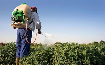 Quantity of active ingredients in pesticide on the rise in Nepal