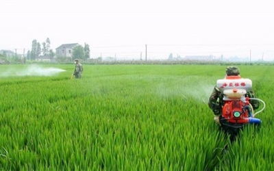 China's pesticides market will continue growing in 2018