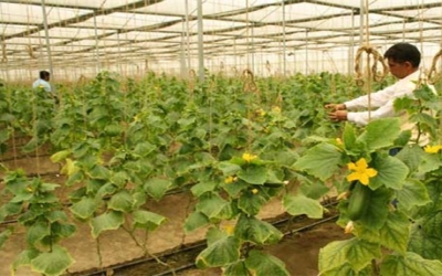 How Israel is bringing new technology for the Indian farmer