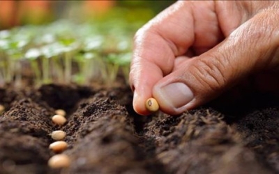 Turkey aims top 5 in seed trade in world