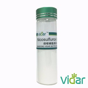 Nicosulfuron 95% TC