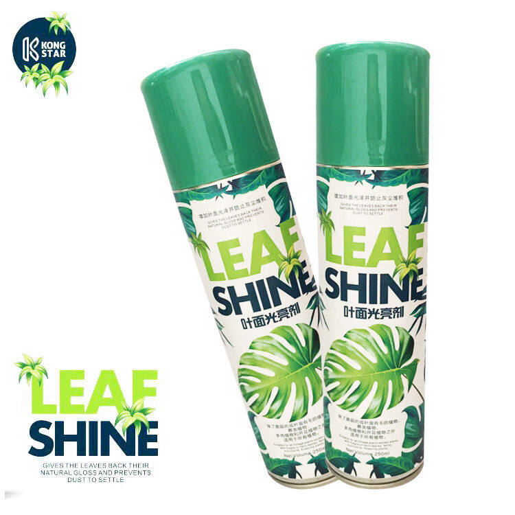 Plant Polish Spray