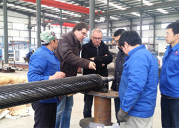 Yan Chengwu, Secretary for inspection of the company