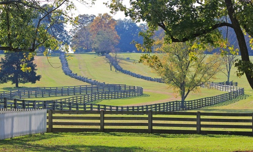 Agricultural Applications Agricultural Applications