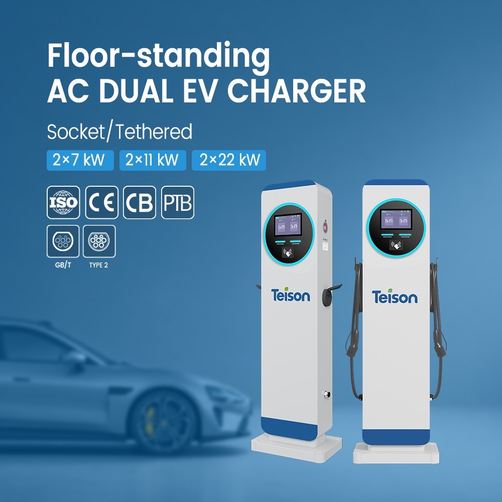 Chinese EV Makers Hit Record Market Share in Western Europe