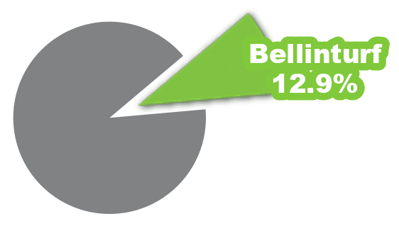 Global Artificial Turf Market Share By Volume In 2023 from AMI report 2024