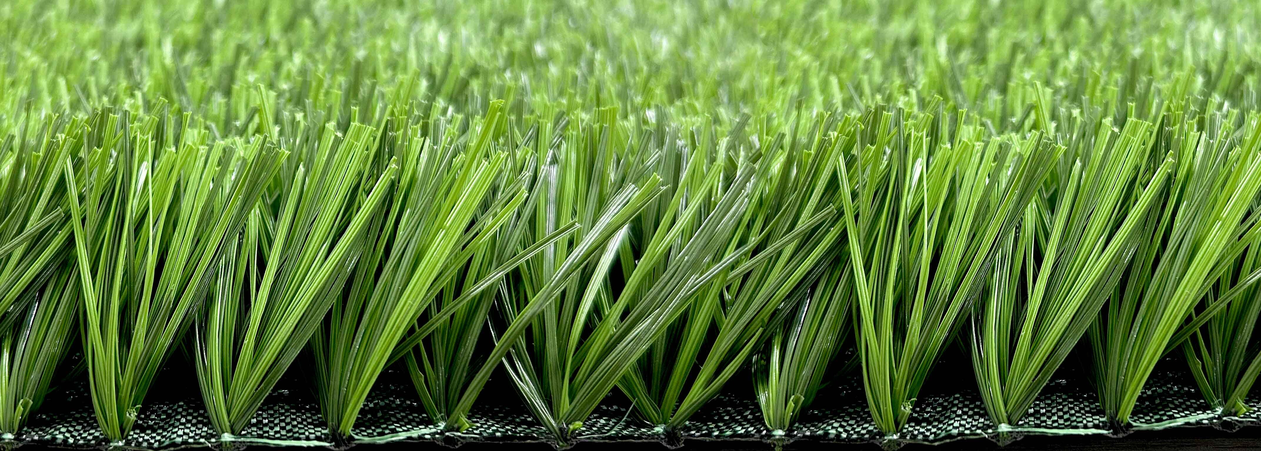 Bellin-Nature Bellin-Nature