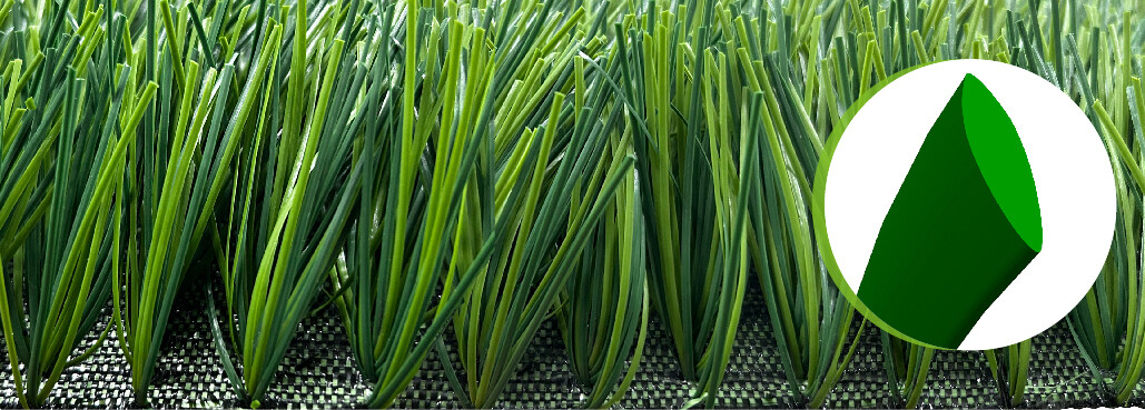 BELLIN-DYNAMIC BELLIN-DYNAMIC