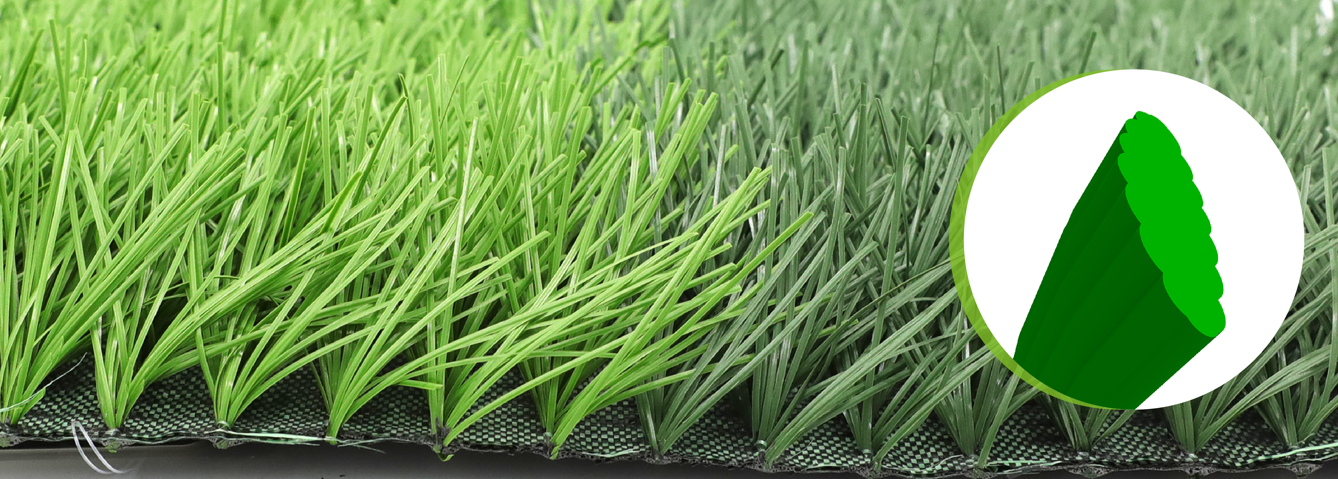 Bellin Noble/ Bellin DreamF660140 Bellin Noble/ Bellin DreamF660140