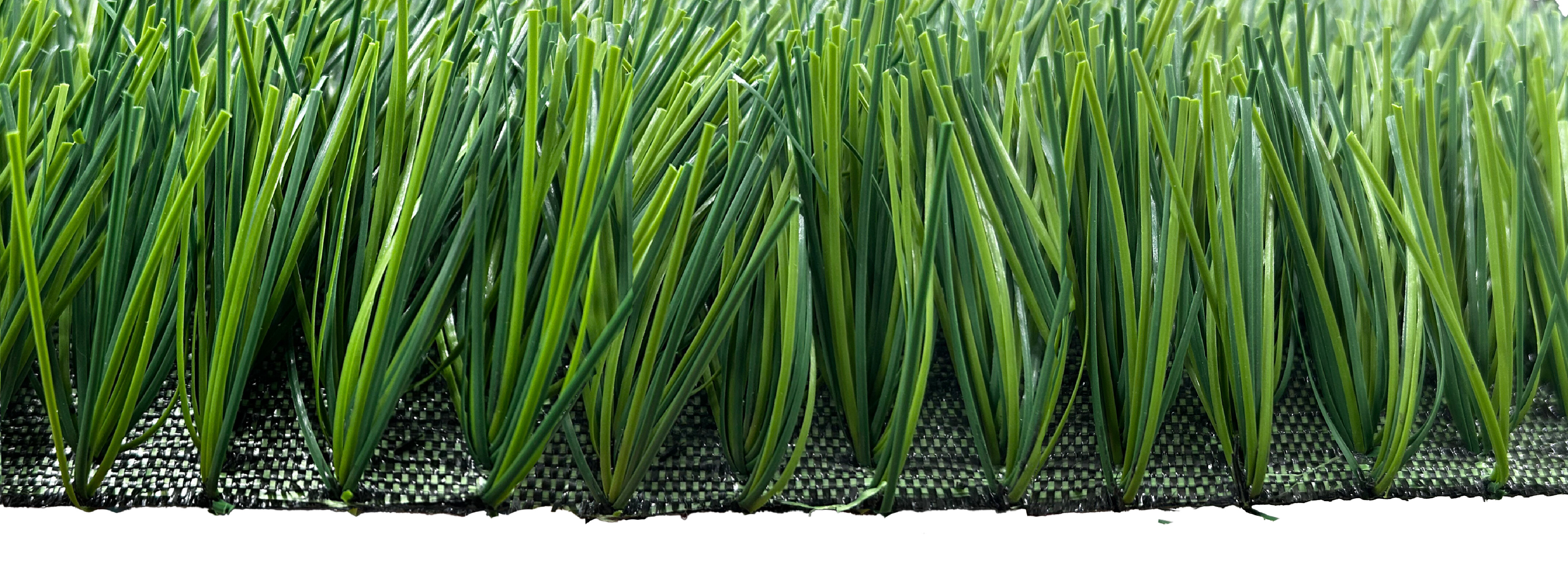 Bellin-Legend Bellin-Legend