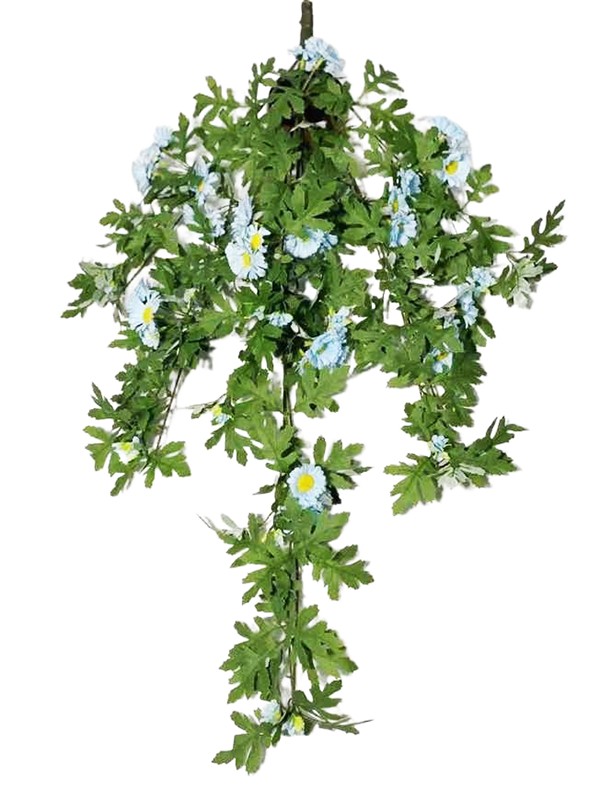 Hanging Plant 02 Hanging Plant 02