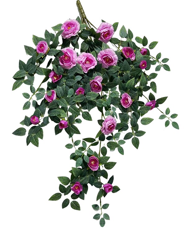 Hanging Plant 07 Hanging Plant 07