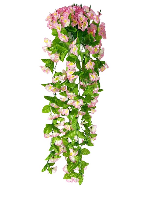 Hanging Plant 10 Hanging Plant 10