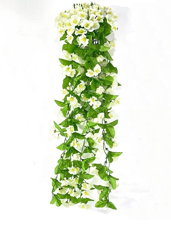 Hanging Plant 11 Hanging Plant 11