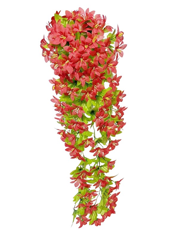 Hanging Plant 12 Hanging Plant 12