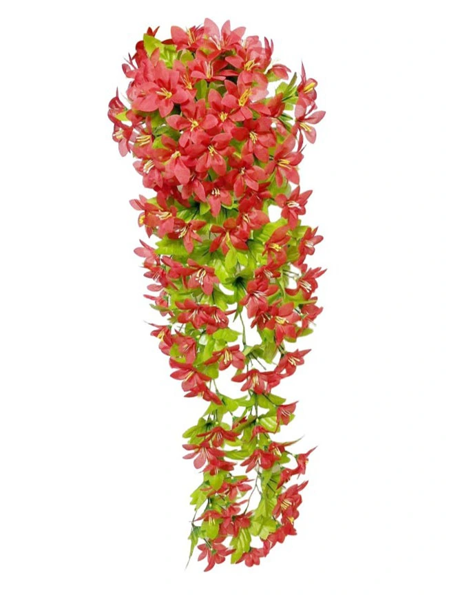 Hanging Plant 32 Hanging Plant 32