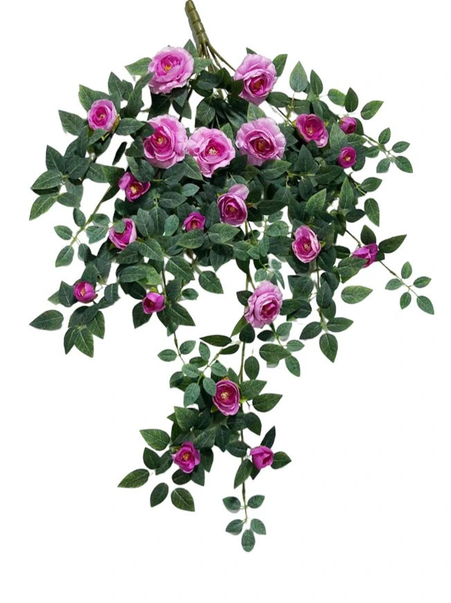 Hanging Plant 16