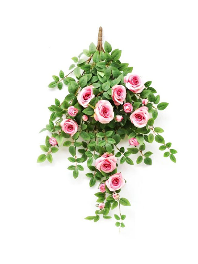 Hanging Plant 17