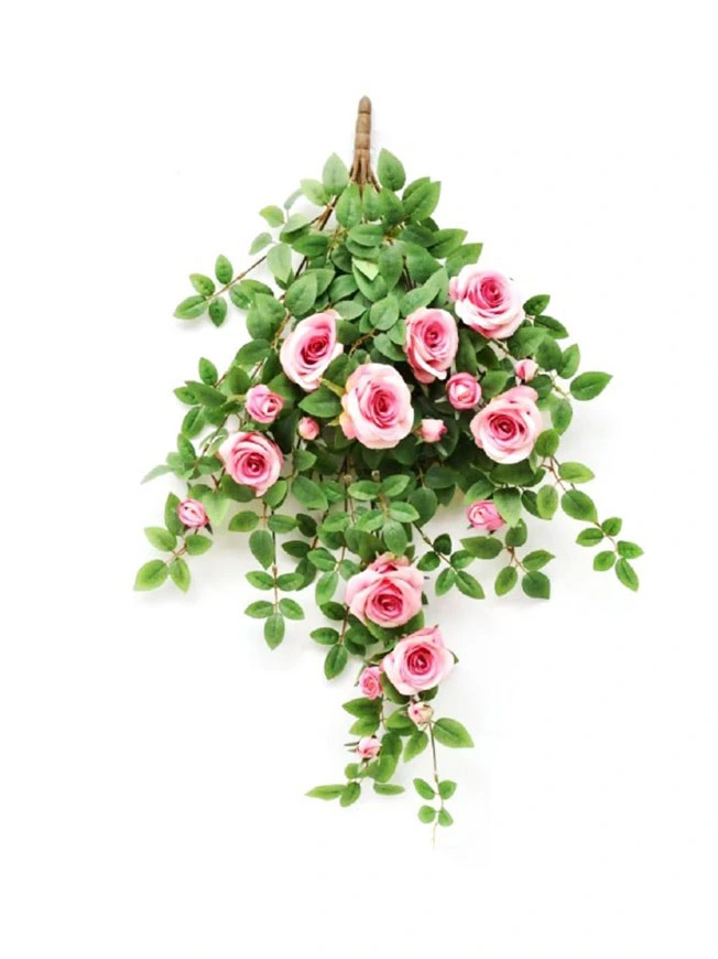 Hanging Plant 17