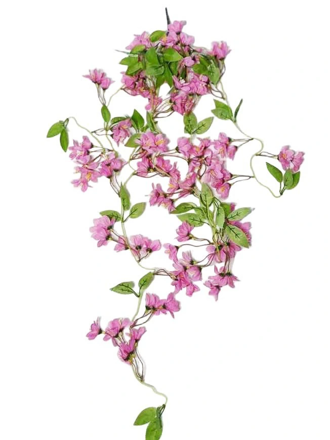 Hanging Plant 18