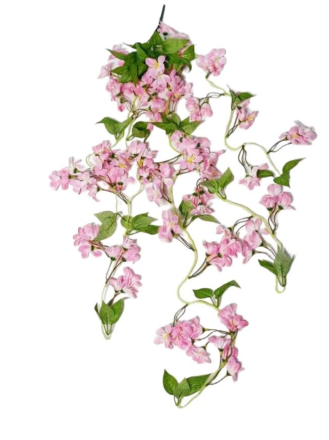 Hanging Plant 19